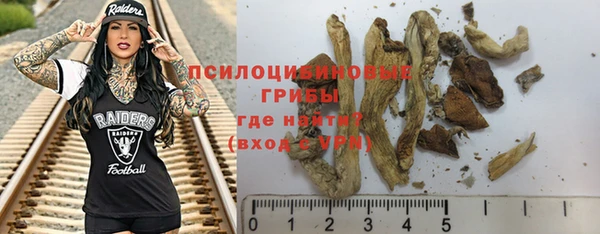 PSILOCYBIN Бородино