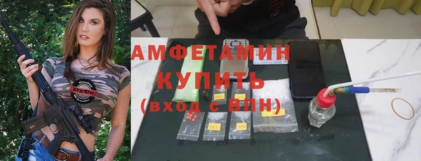 PSILOCYBIN Бородино